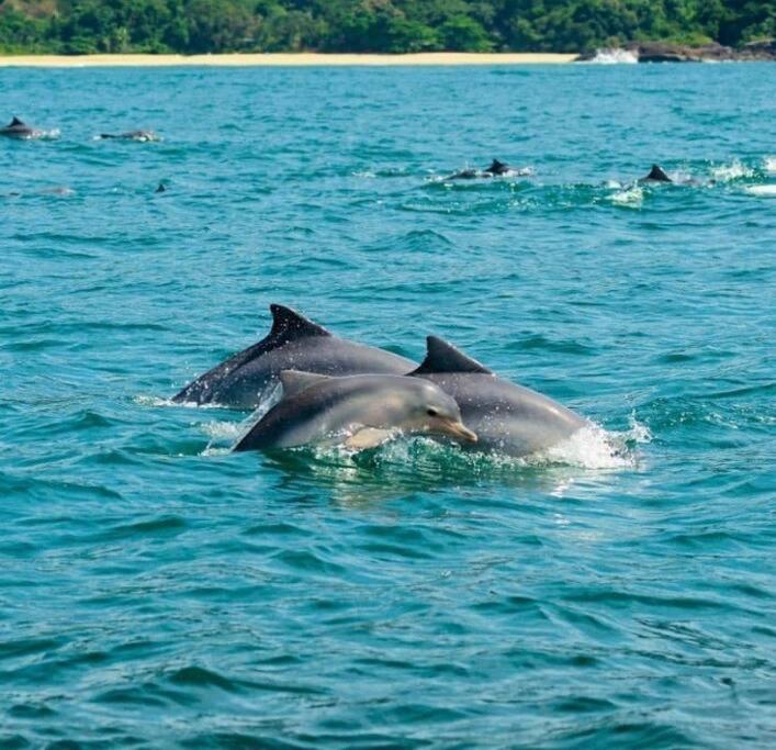 Apartamento Incrível Ap Centro Vista O Mar! Ubatuba